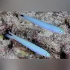 Blue Gudgeon Goby